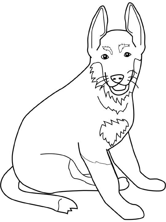 German Shepherd Coloring Pages - Best Coloring Pages For Kids