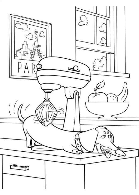 The Secret Life of Pets Coloring Pages - Best Coloring Pages For Kids