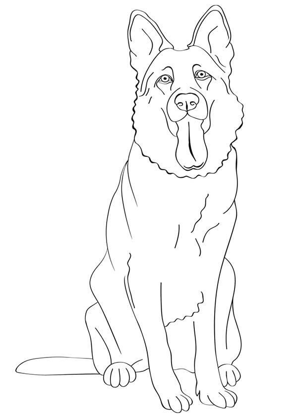 German Shepherd Coloring Pages - Best Coloring Pages For Kids