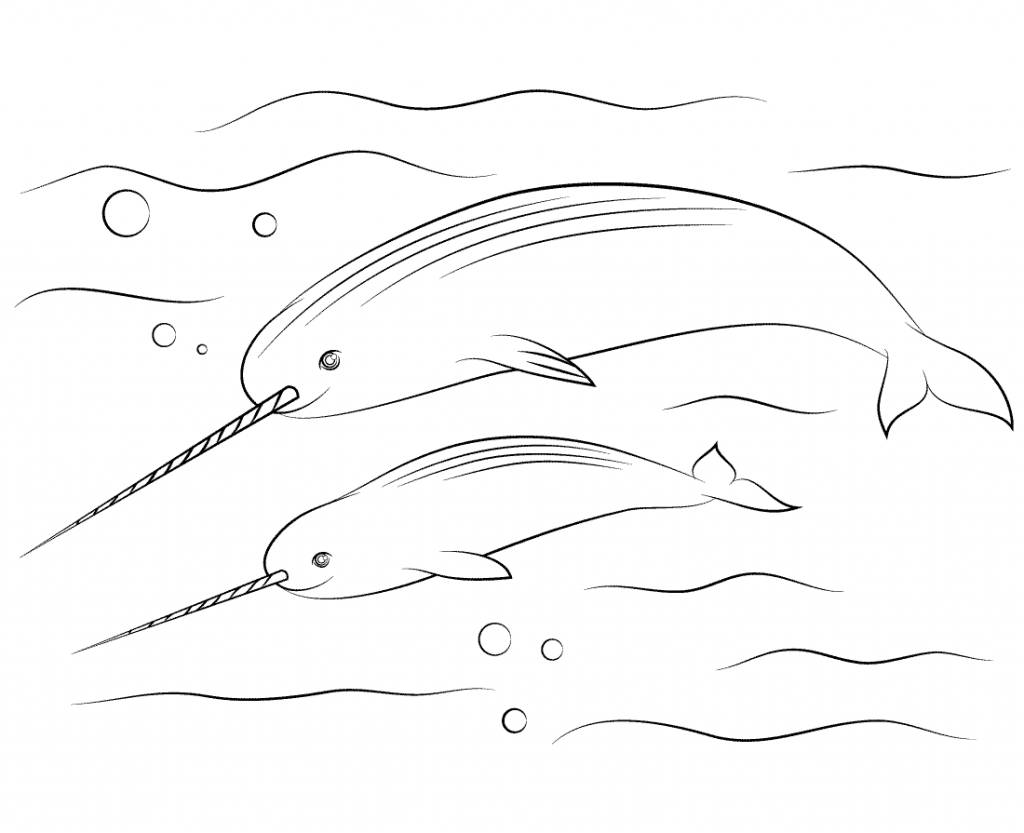 Narwhal Coloring Page