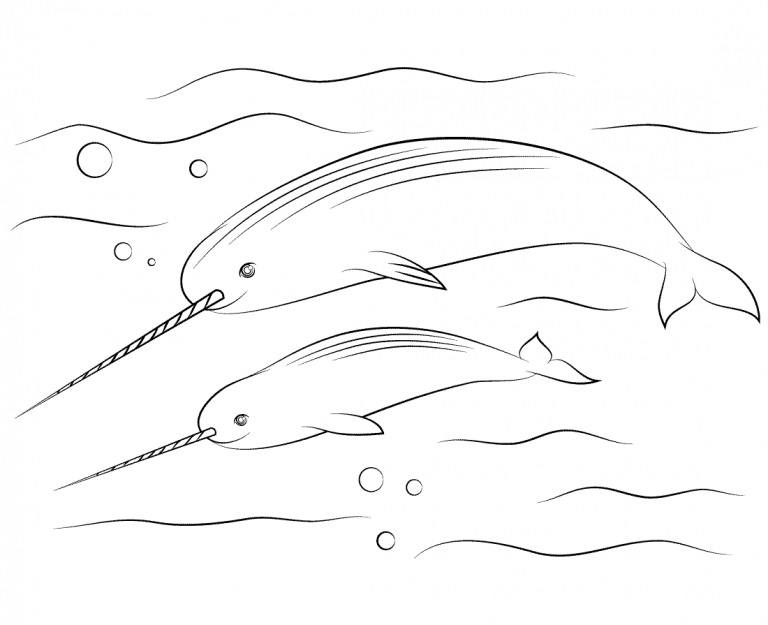 Narwhal Coloring Pages - Best Coloring Pages For Kids