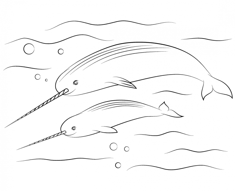 narwhal coloring pages best coloring pages for kids