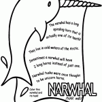 Narwhal Info Coloring Page