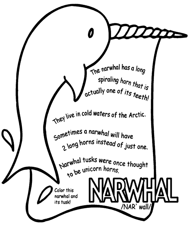 Narwhal Info Coloring Page