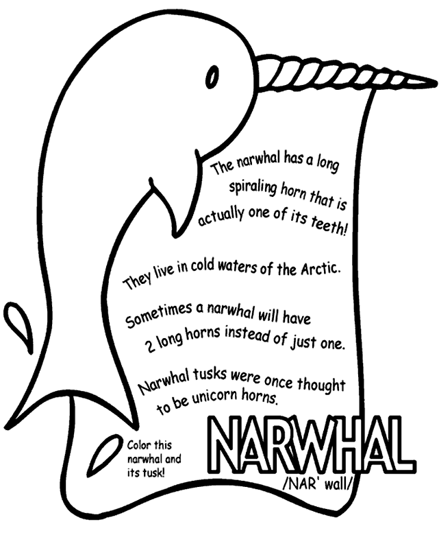 narwhal-coloring-pages-best-coloring-pages-for-kids