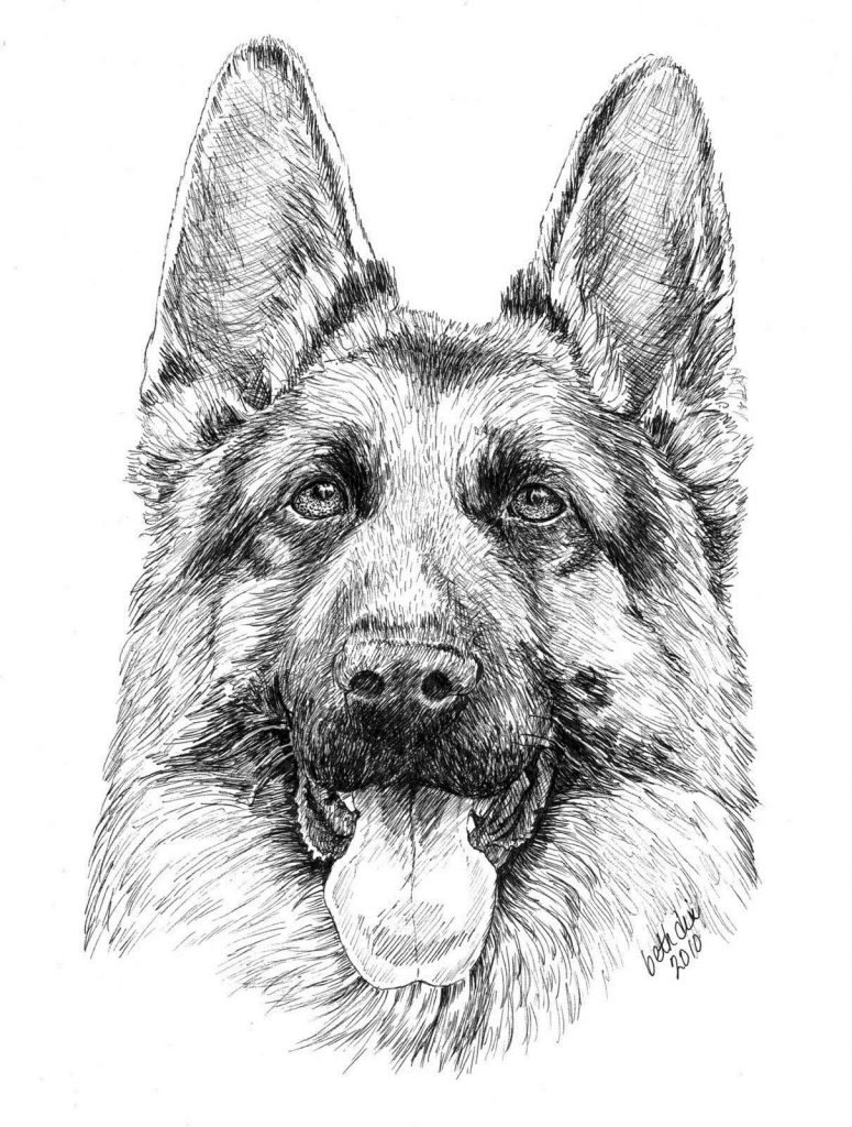 Realistic German Shepherd Drawing to Color