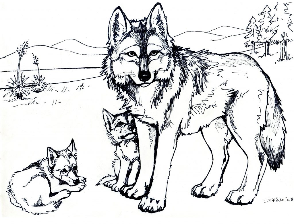 Wolf and Cubs Coloring Page