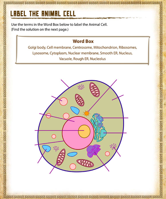 4th-grade-science-worksheets-best-coloring-pages-for-kids