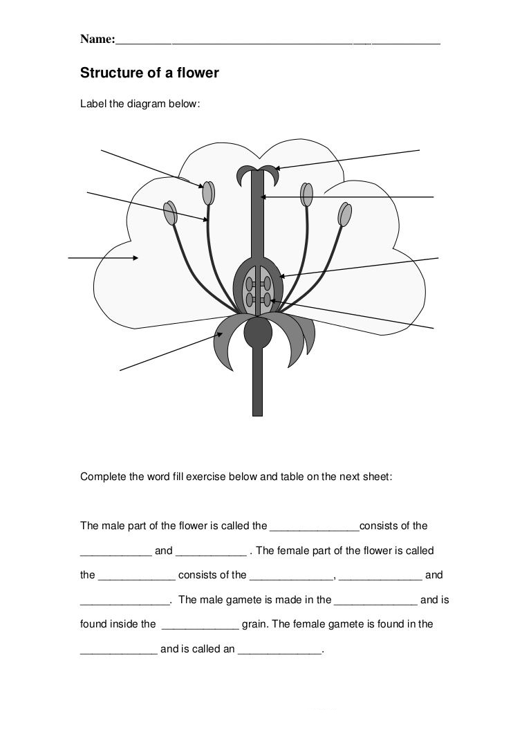 4th grade science worksheets best coloring pages for kids
