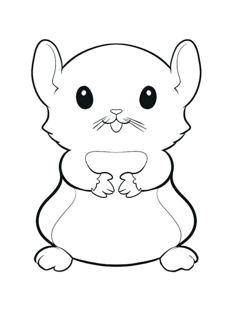 Hamster Coloring Pages - Best Coloring Pages For Kids