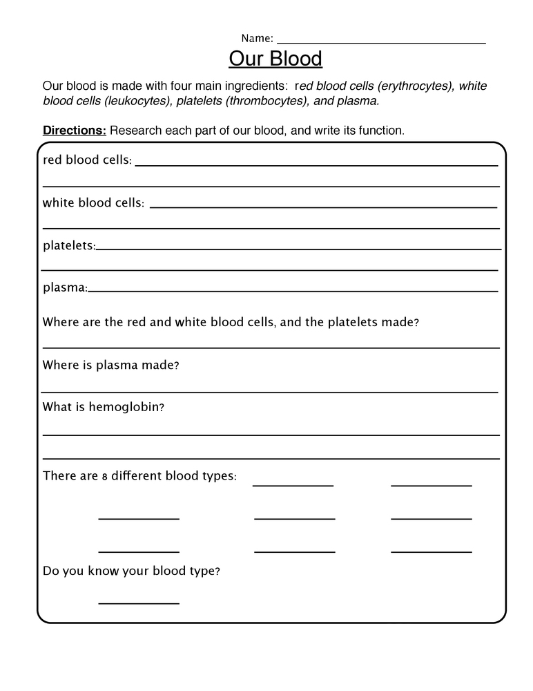 Blood - 4th Grade Science Worksheet