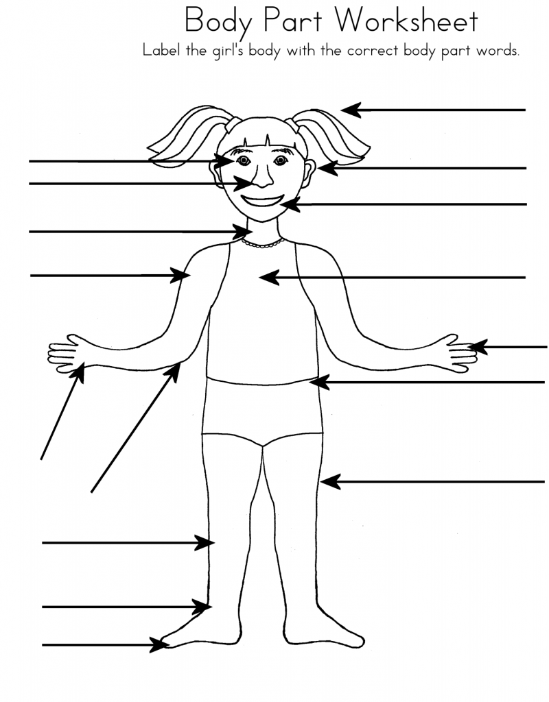 Body Part 4th Grade Science Worksheet
