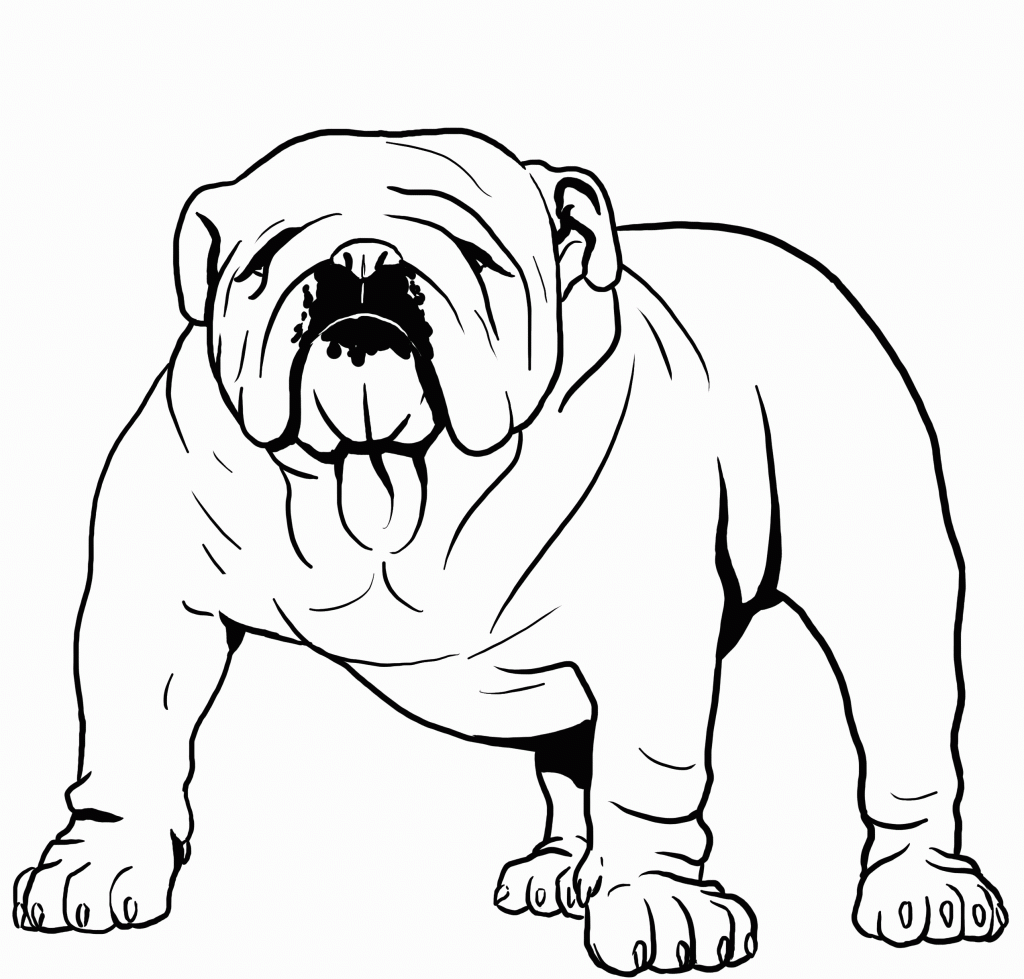 Bulldog Coloring Pages