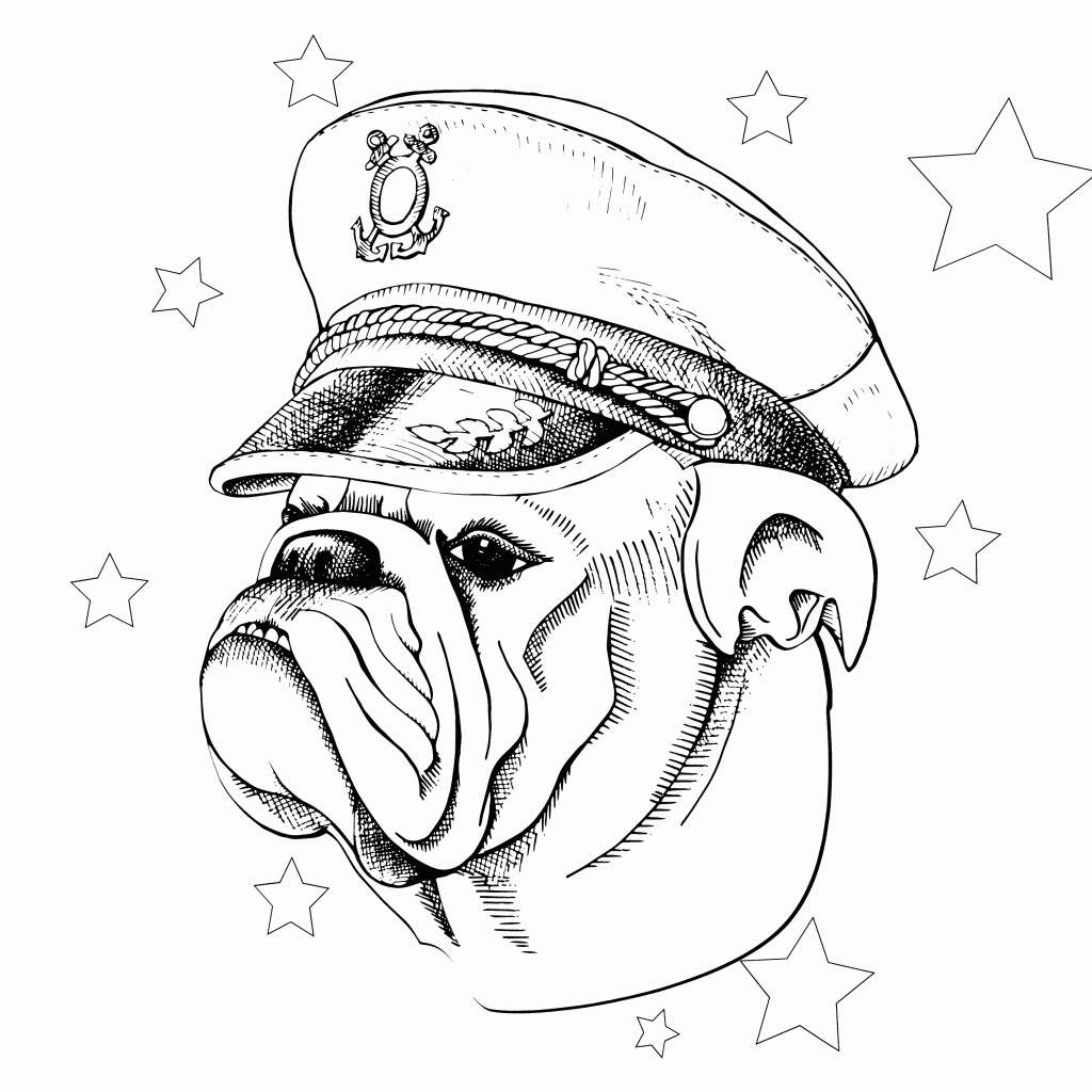 Bulldog Coloring Pages for Adults