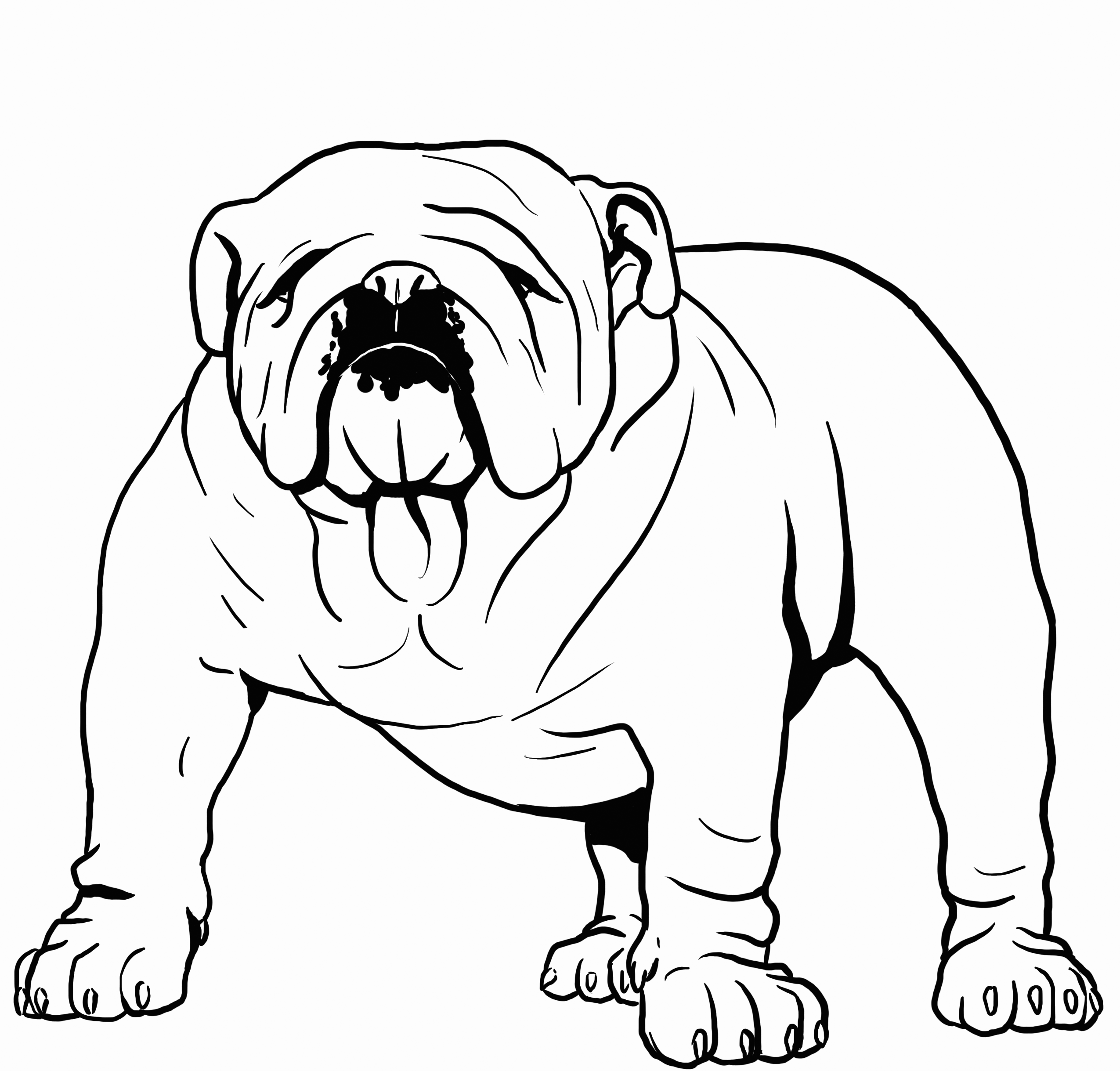 Bulldog Coloring Pages Best Coloring Pages For Kids bulldog-coloring-pages-best-coloring-pages-for-kids