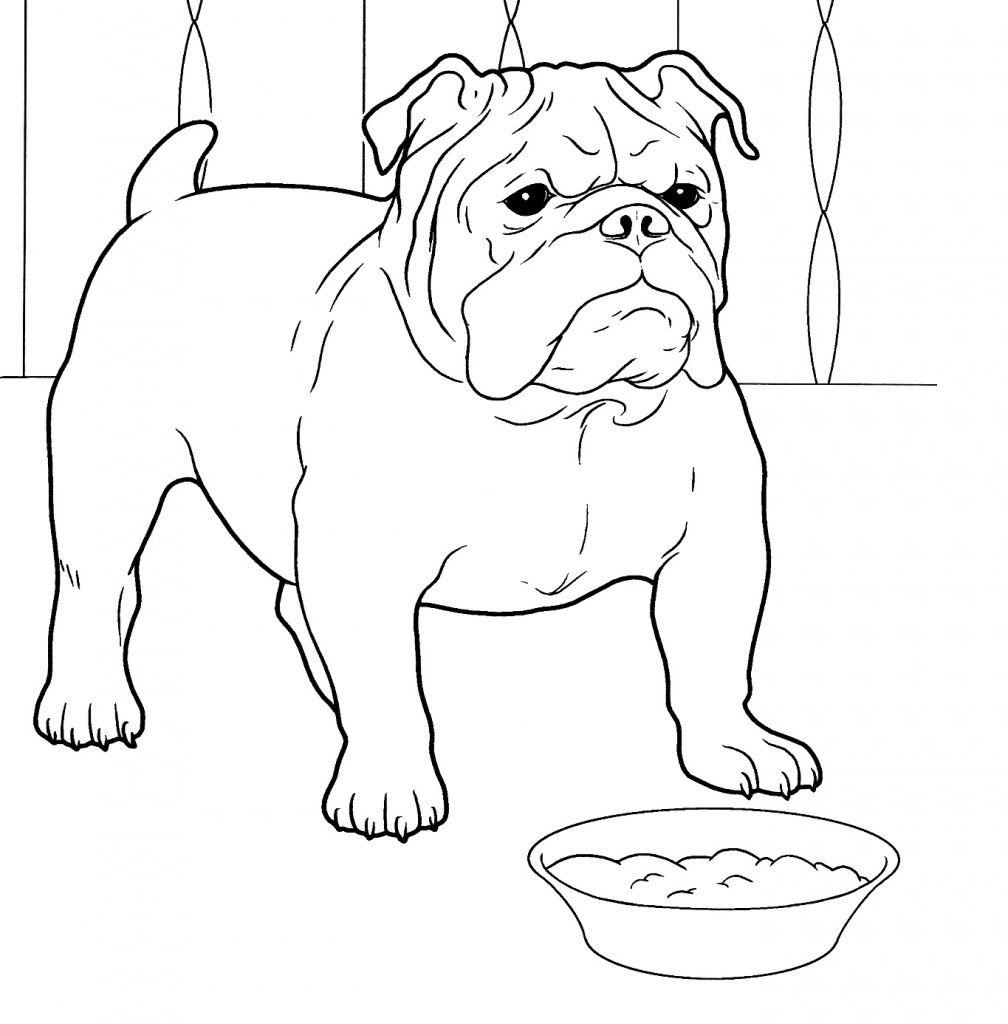 Bulldog Printable Coloring Pages