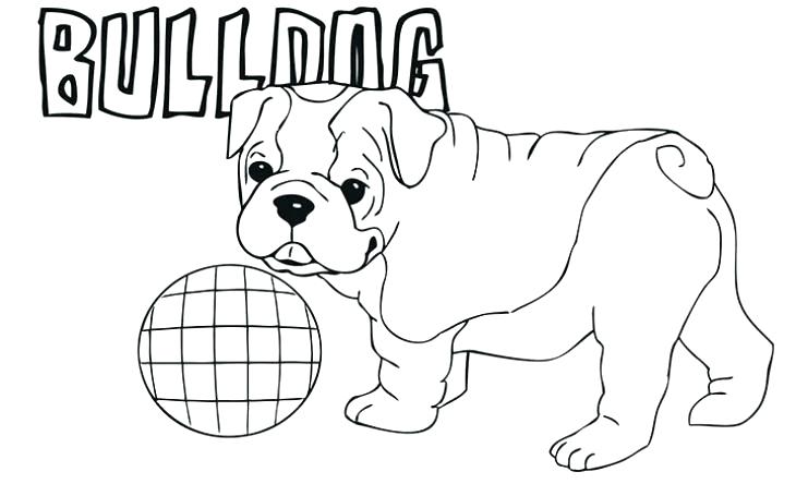 Download Bulldog Coloring Pages Best Coloring Pages For Kids