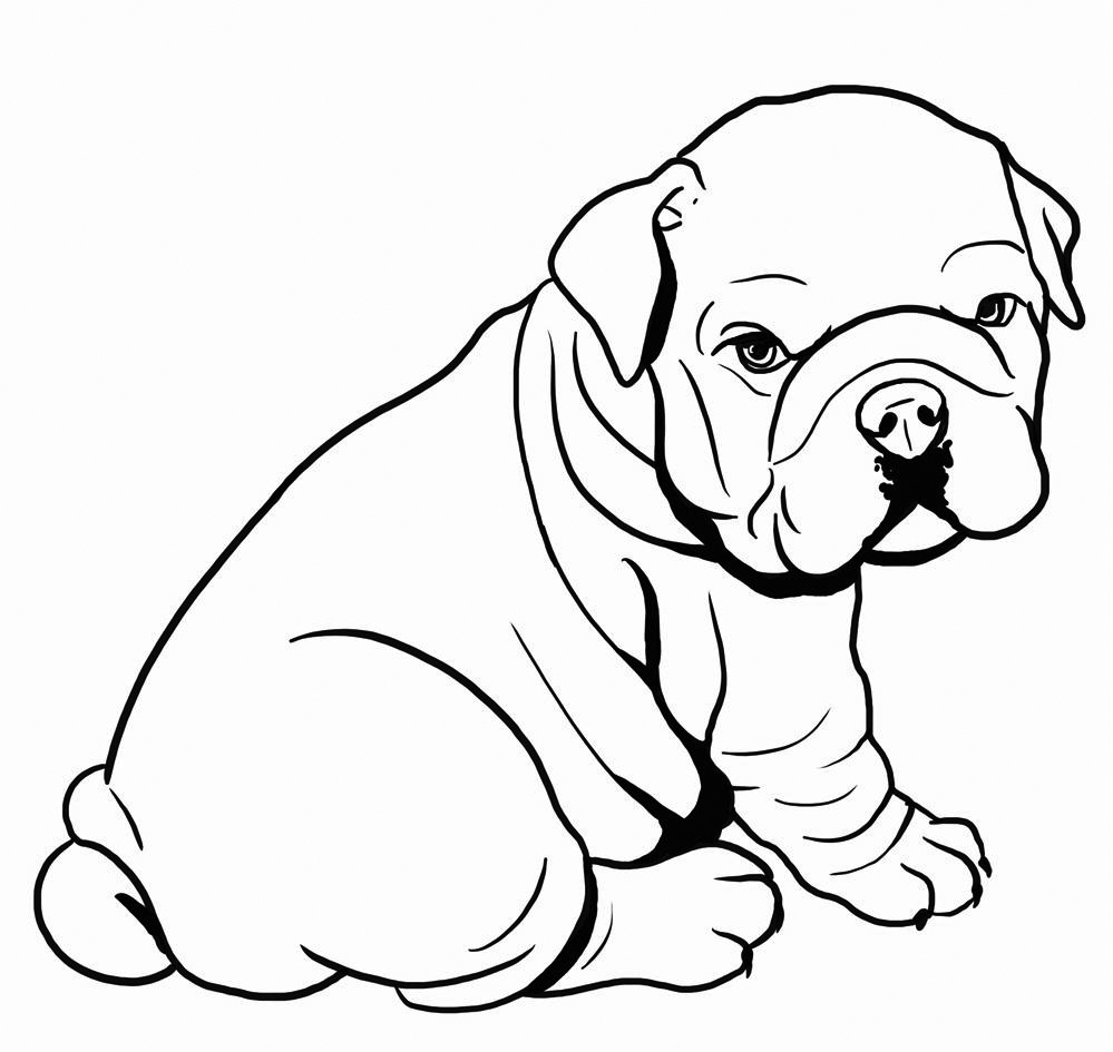Bulldog Puppy Coloring Page