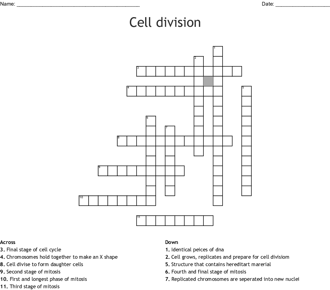 cell-organelles-worksheet-animal-cell-worksheet-answers-beautiful