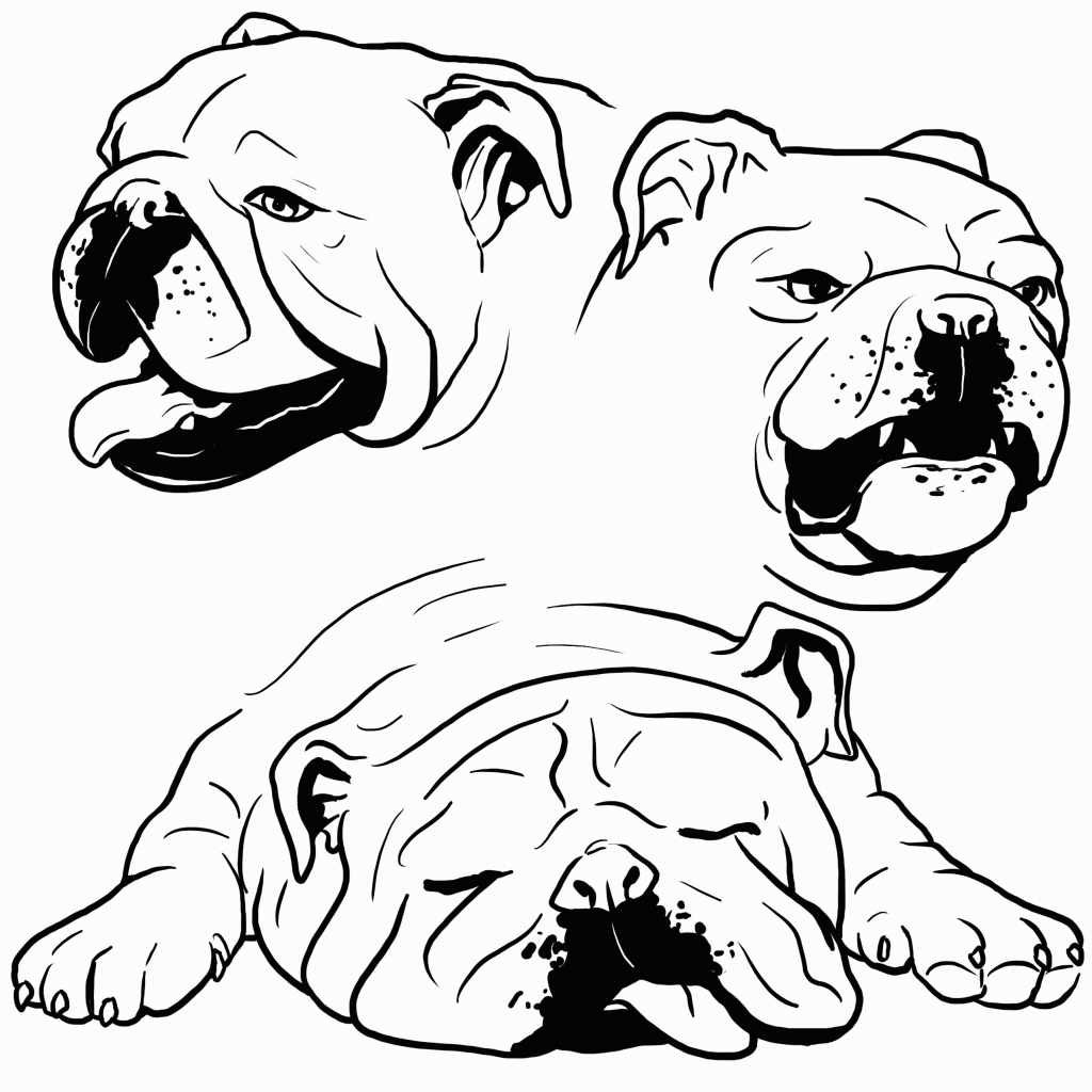 Cute Bulldog Portraits for Coloring