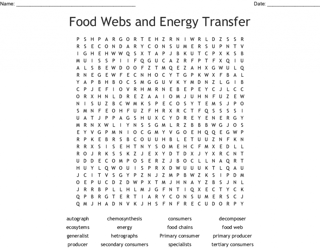 Food Web - 4th Grade Science Worksheet