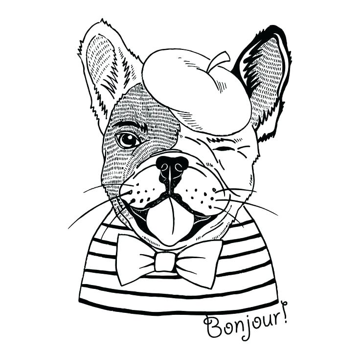 Bulldog Coloring Pages Best Coloring Pages For Kids