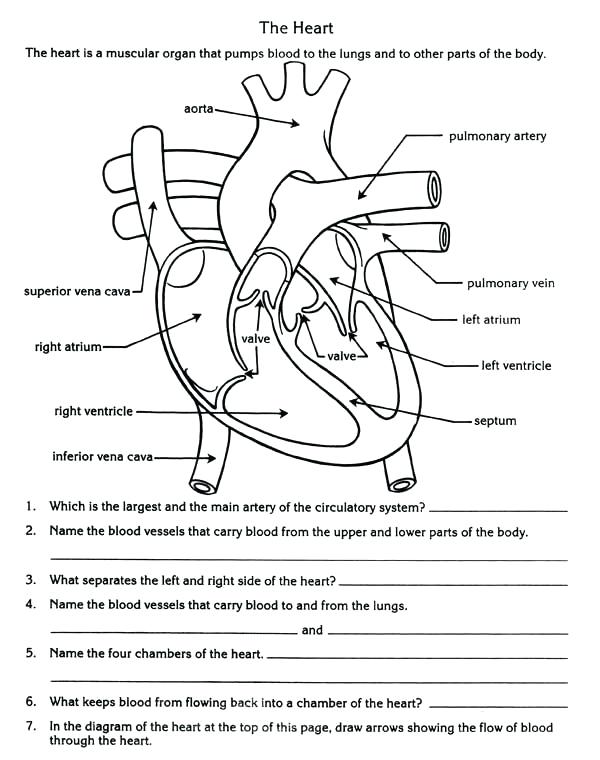 science homework for 4th grade