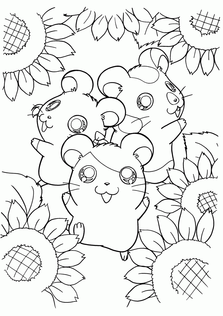Hamster Coloring Pages - Best Coloring Pages For Kids