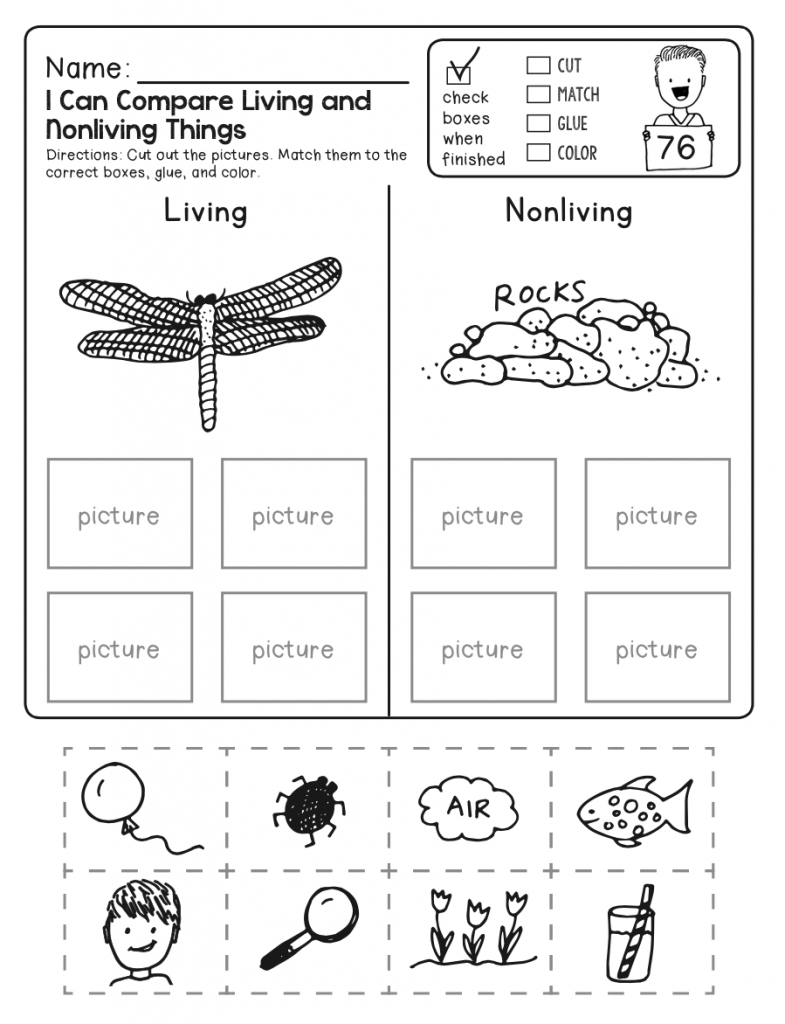 Living and Nonliving - 4th Grade Science Worksheet