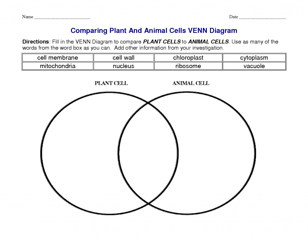 Venn Diagram - 4th Grade Science Worksheet