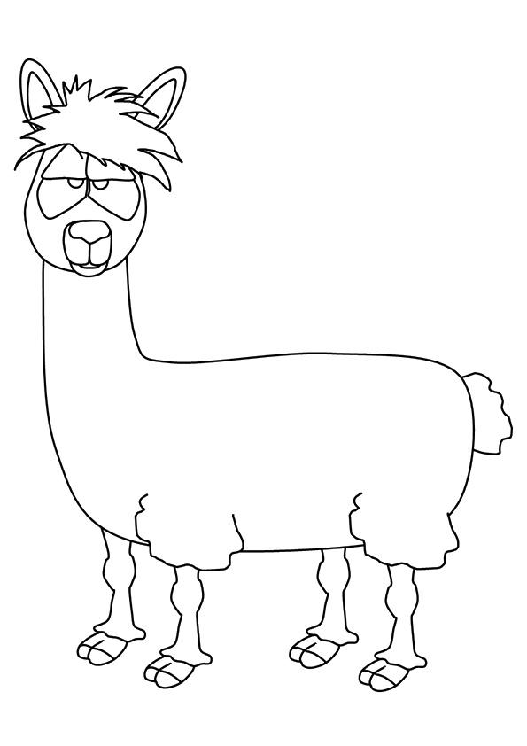 Cartoon Llama Coloring Pages