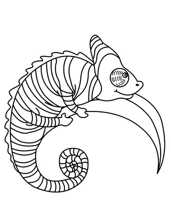 Chameleon Coloring Page Printables