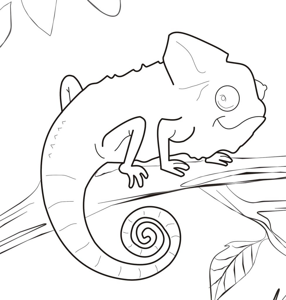 Chameleon Coloring Pages