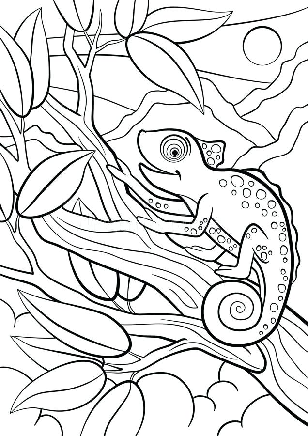 Chameleon Coloring Pages - Best Coloring Pages For Kids