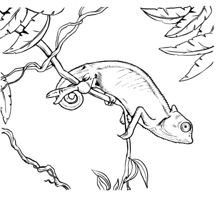 Chameleon in a Tree Coloring Page