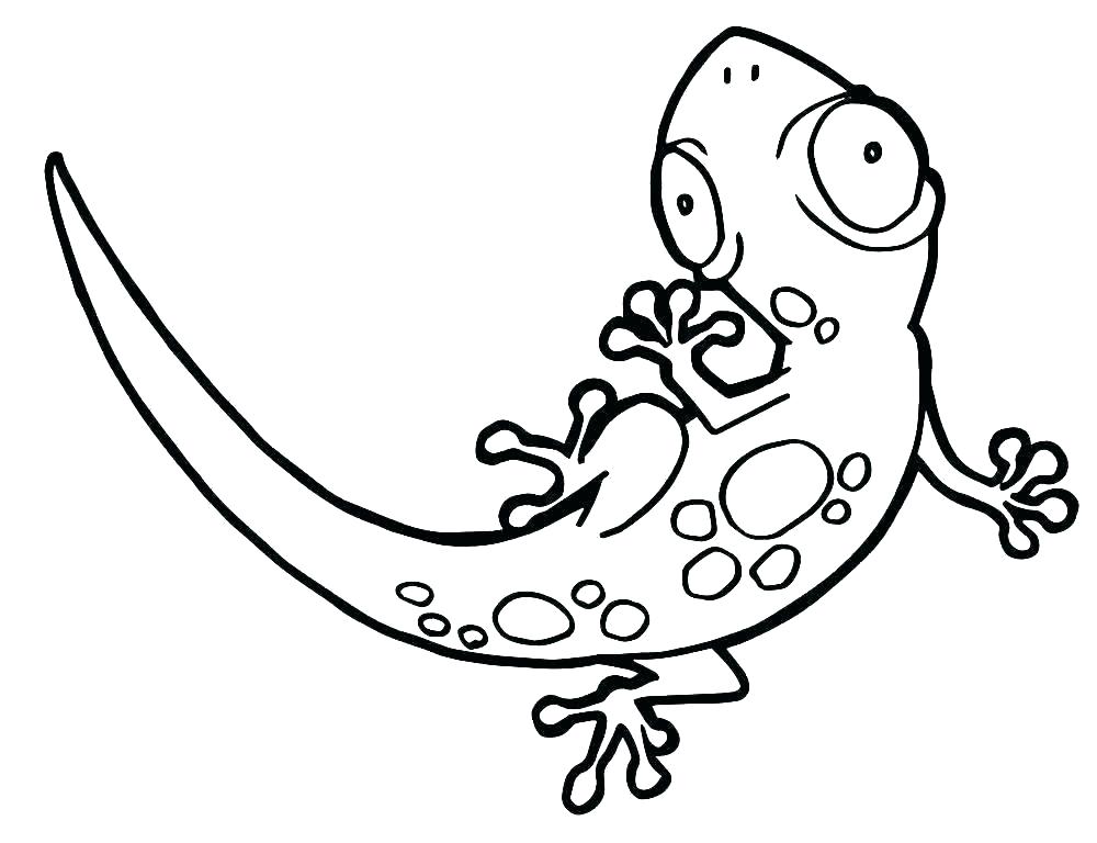 Cute Big Eyed Gecko Coloring Page