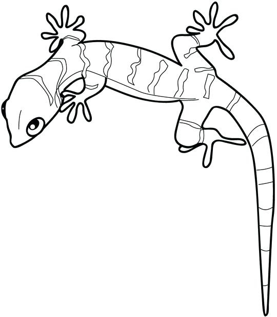 Gecko Coloring Pages Best Coloring Pages For Kids