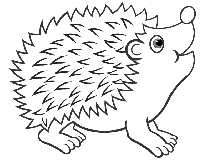 Cute Hedgehog Coloring Page