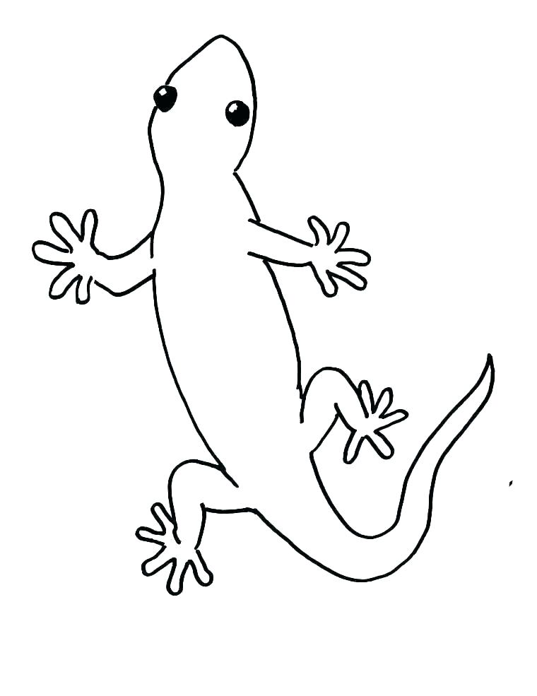 Easy Gecko Coloring Pages