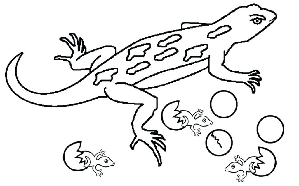 lizards coloring pages