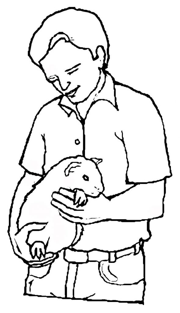 Guinea Pig Pet Coloring Page