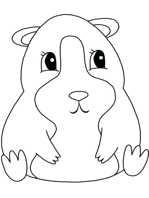 Guinea Pig Coloring Pages Best Coloring Pages For Kids