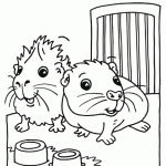 Guinea Pigs Coloring Page