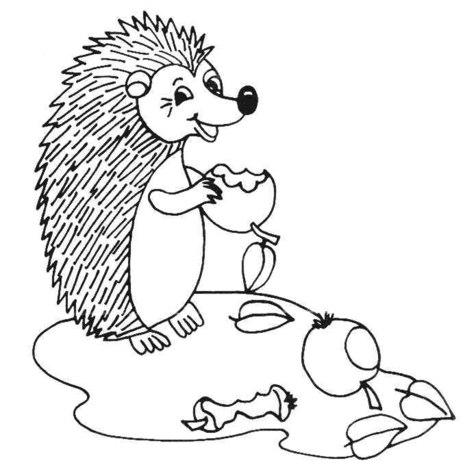 Hedgehog Eating Apples Coloring Page