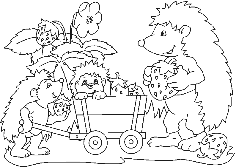 Hedgehog Family Coloring Pages