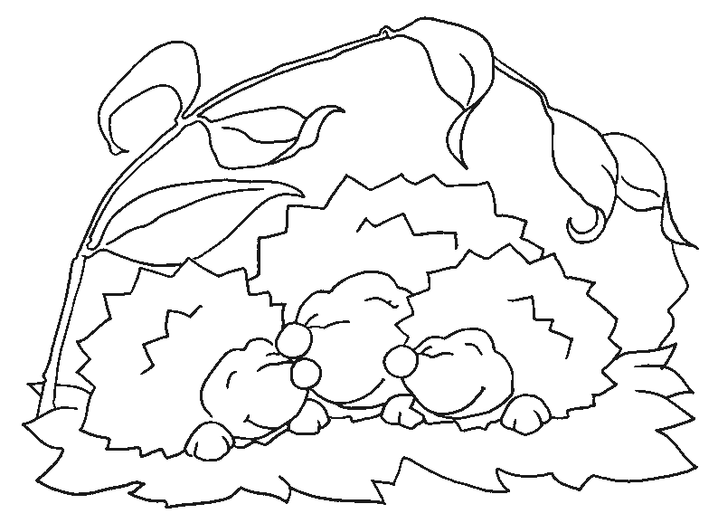 Hedgehog Family Sleeping Coloring Page