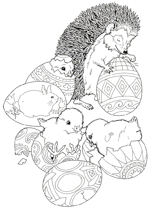 Hedgehog Hatching Eggs Coloring Pages