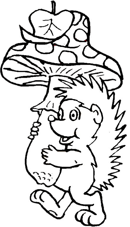 Hedgehog and Mushroom Coloring Pages