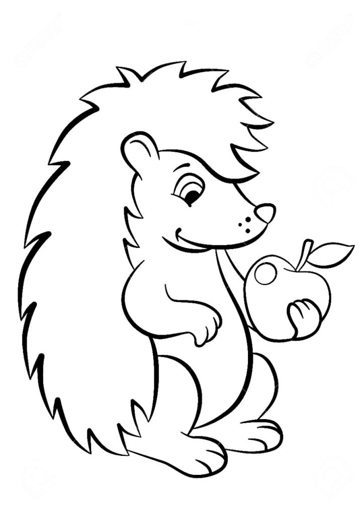 Hedgehog with Apple Coloring Pages