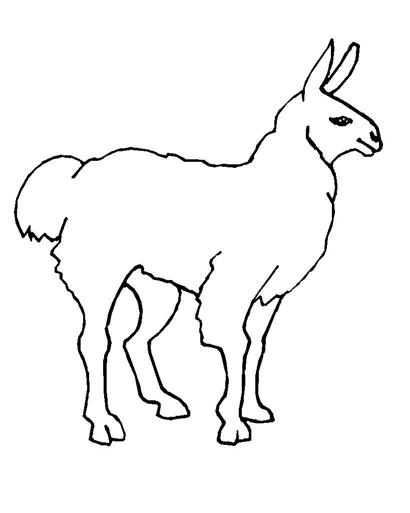 Llama Line Art Coloring Page